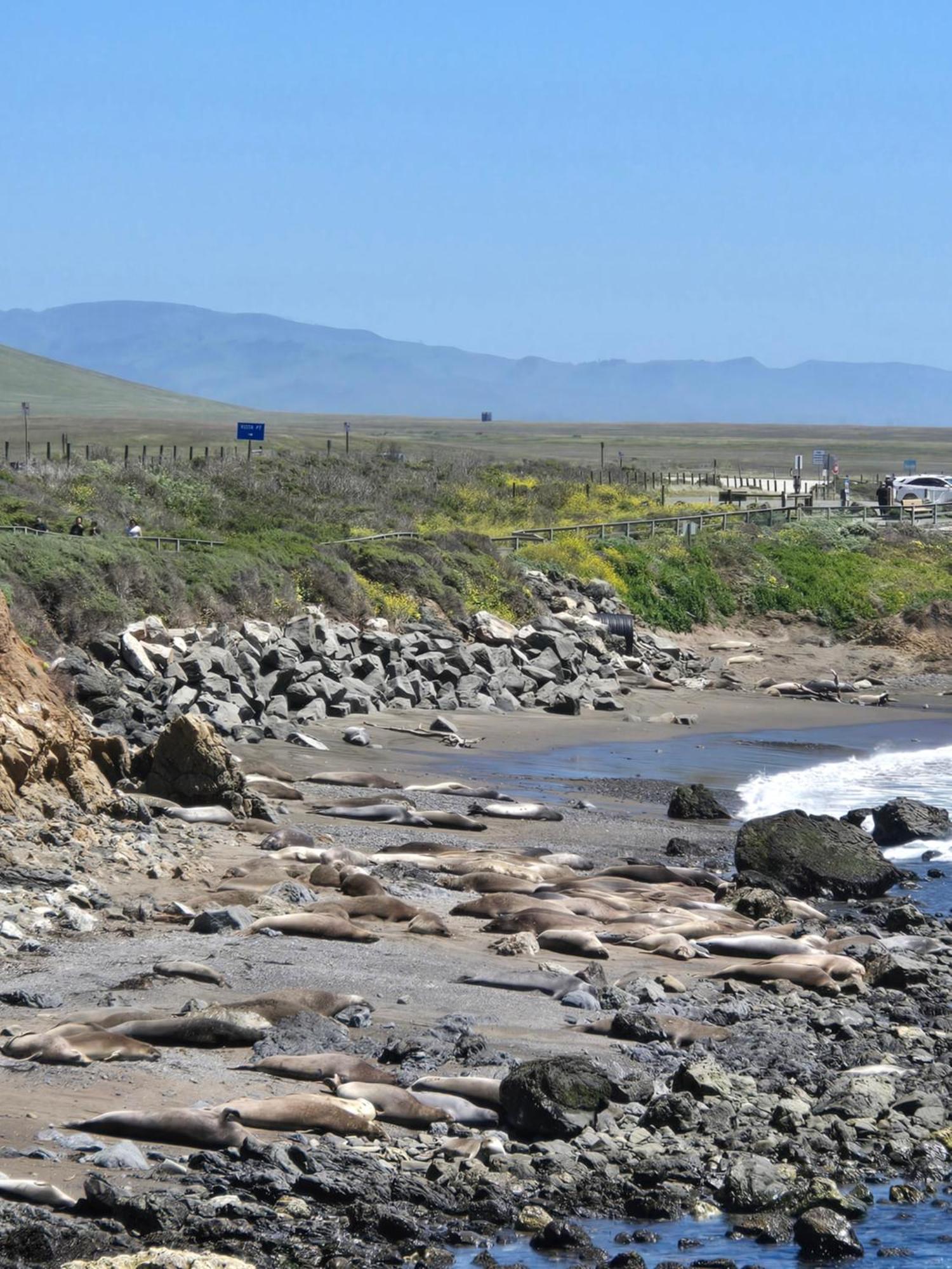 Coast Riders Inn San Simeon Extérieur photo